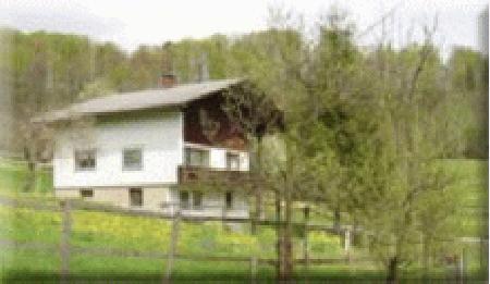 Bauernhof Hammerer Bauernhof Hammerer