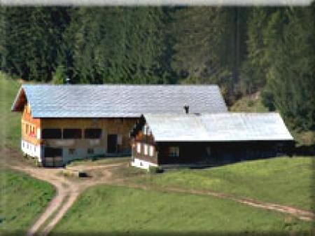 Panoramahütten Sonderdach Panoramahütten Sonderdach